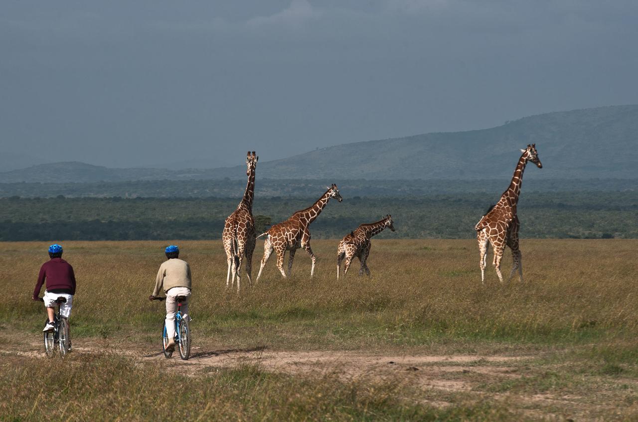 فيلا Kicheche Laikipia Camp Ol Pejeta Conservancy المظهر الخارجي الصورة